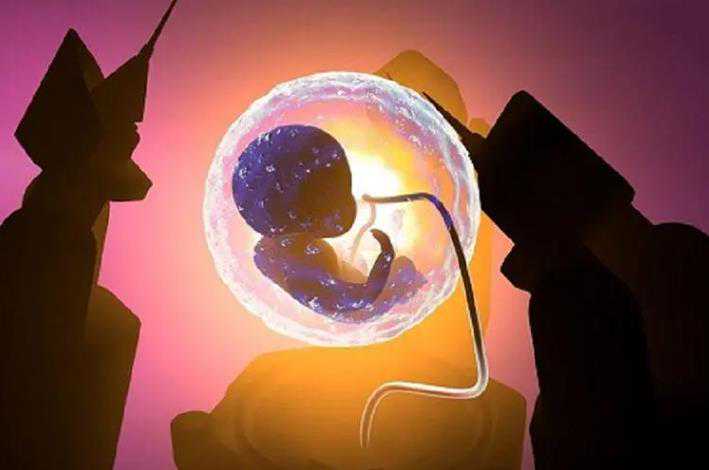 试管婴儿：一代试管助孕，双胞胎的可能性探讨