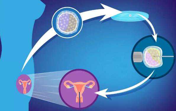 <b>试管婴儿助孕流程：时间预览及关键步骤</b>