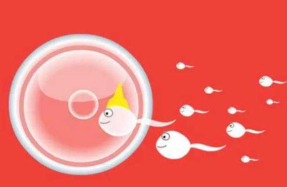 广州知名供卵机构当选坤和助孕靠谱