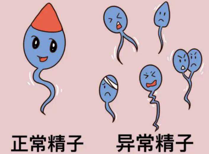 杭州试管助孕机构靠谱吗？全面解析供卵服务与助孕流程