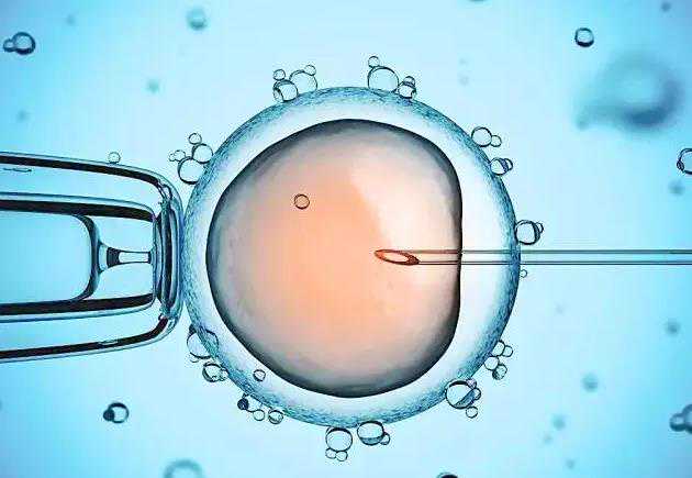 试管婴儿助孕：取卵过程揭秘与注意事项