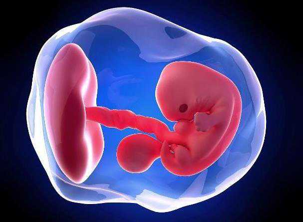 试管婴儿第二代优胚率究竟有多高？DNA碎片对试管二代试管婴儿的影响