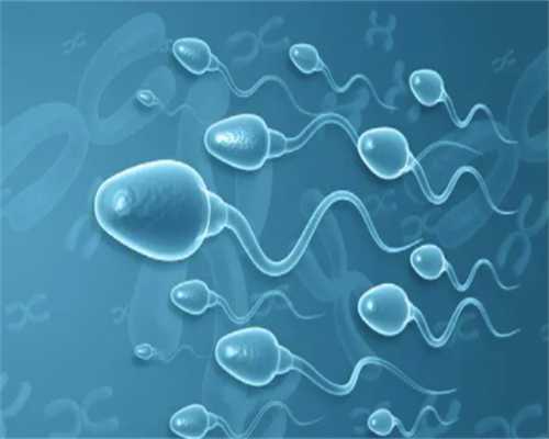 成都微信群 | 供卵助孕微信群 | 助孕微信群