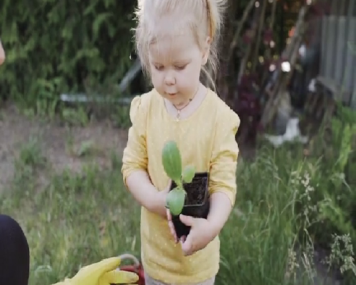试管婴儿取卵多少个属于正常，质量＞数量！37岁做试管婴儿取卵数量越多不一
