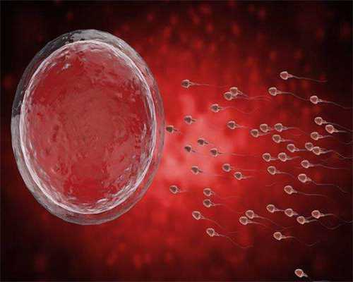 试管婴儿助孕：费用与过程详解