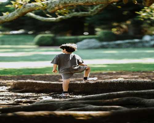 内蒙古医科大学附属医院做试管，2026内蒙古附属医院多囊试管婴儿取卵费用多