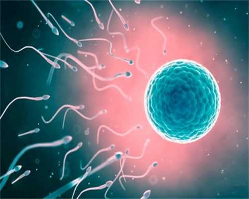 上海十院hiv3代试管费用多少钱,上海十院hiv3代试管费用多少?