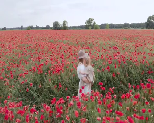 央视报道奶粉，2026年央视推荐的十大婴儿品牌奶粉有哪些? 