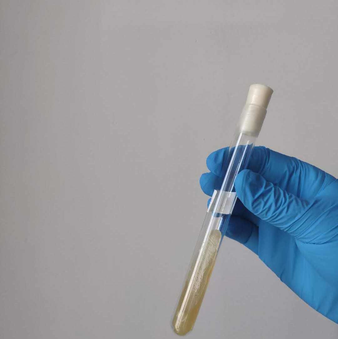 和万家试管医院：详解试管婴儿费用及流程指南