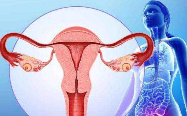 河北省二院专家介绍，2026河北省二院移植科主任是谁？ 