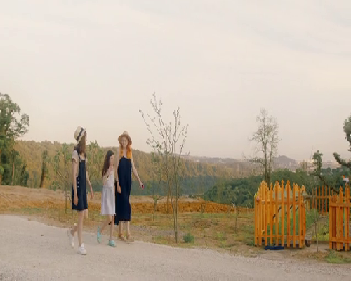 查一个性激素六项多少钱，国家卫健委科研所查性激素六项多少钱？ 