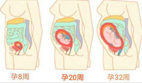 试管婴儿：精子低存活率，还能否进行试管助孕？