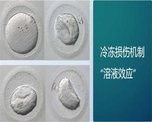 哈医大试管婴儿哪个大夫好，2026哈医大一院试管婴儿医生名单（附成功率排名