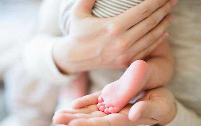 试管婴儿助孕：养囊过程与囊胚培养揭秘