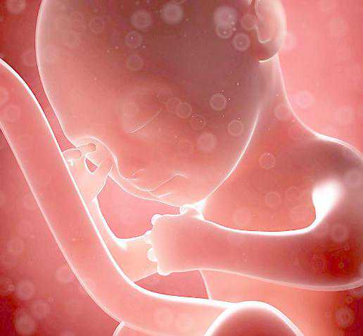 沈阳202医院能做三代试管吗，沈阳202医院一代试管转二代移鲜胚多少钱？ 