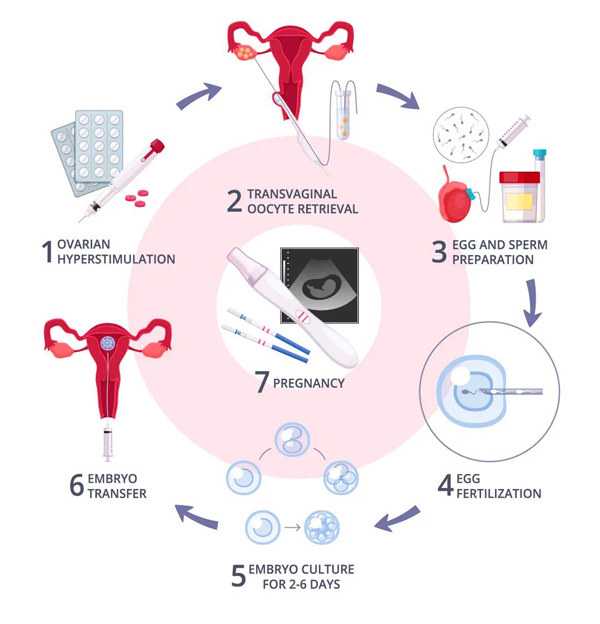 长治和平医院生殖科试管成活率高吗，2026长治和平医院移植囊胚为什么那么贵
