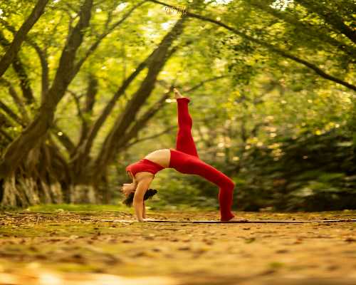 试管婴儿助孕成功案例：上海坤和助孕包助力生育梦想