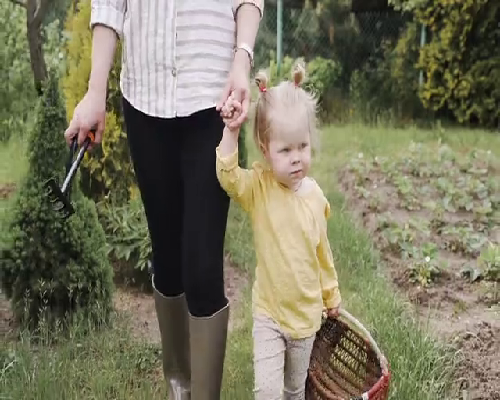 瑞金医院急诊几点关门，瑞金医院晚上没有病床，急诊住院怎么办？ 