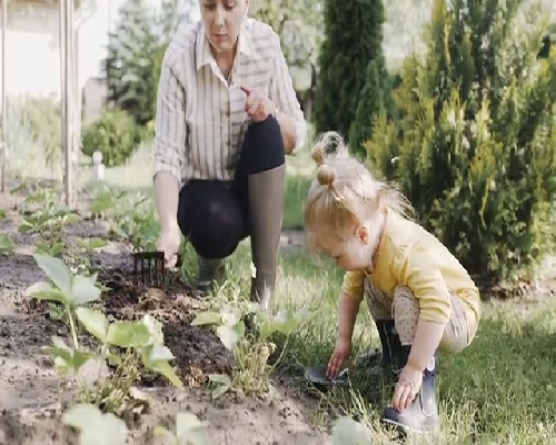 三伏贴的常用位置，三伏贴位置详细示意图分享，使用在这7个穴位亲测有效