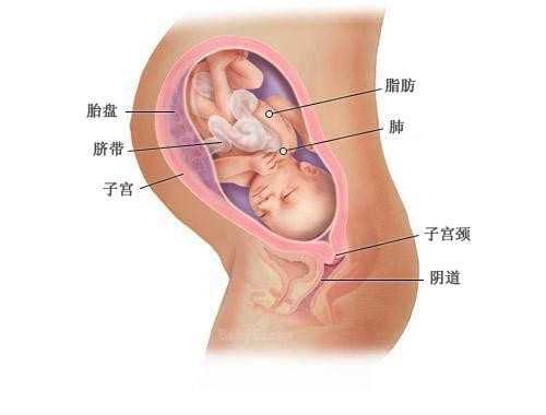 广东供卵在哪里排队_不孕不育纳入医保政策_37岁做几代试管婴儿比较好_试管婴